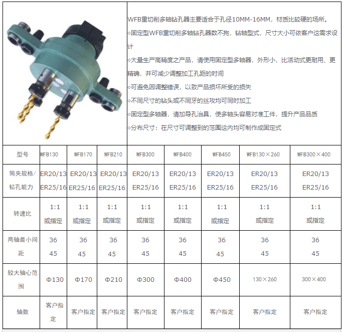 (重切削）固定式多轴器WFB(图1)